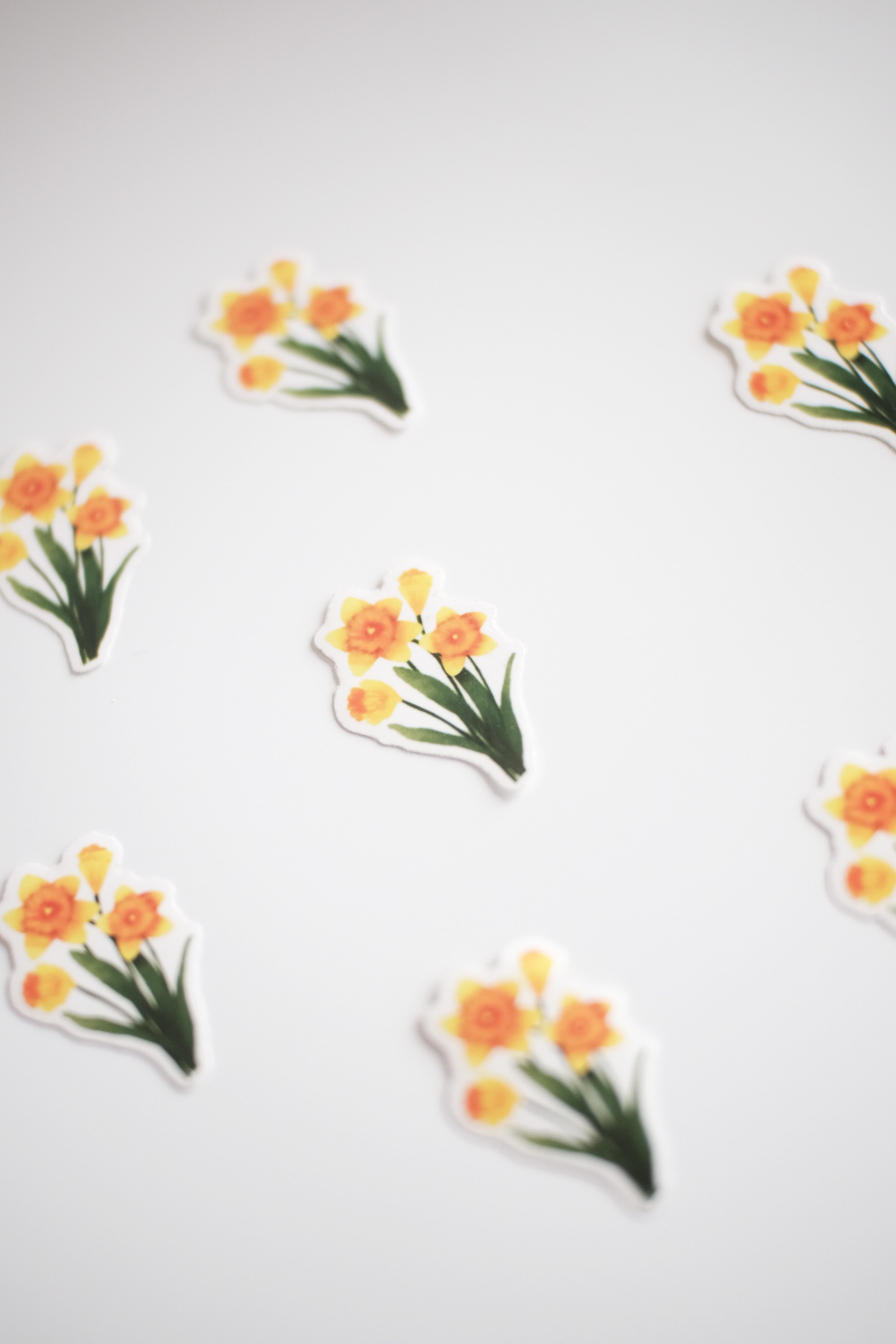 StellarCoronae - Transparent Sticker