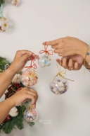 StellarCoronae - Floral Shaker Bells | Baubles Shaker Dried Flowers
