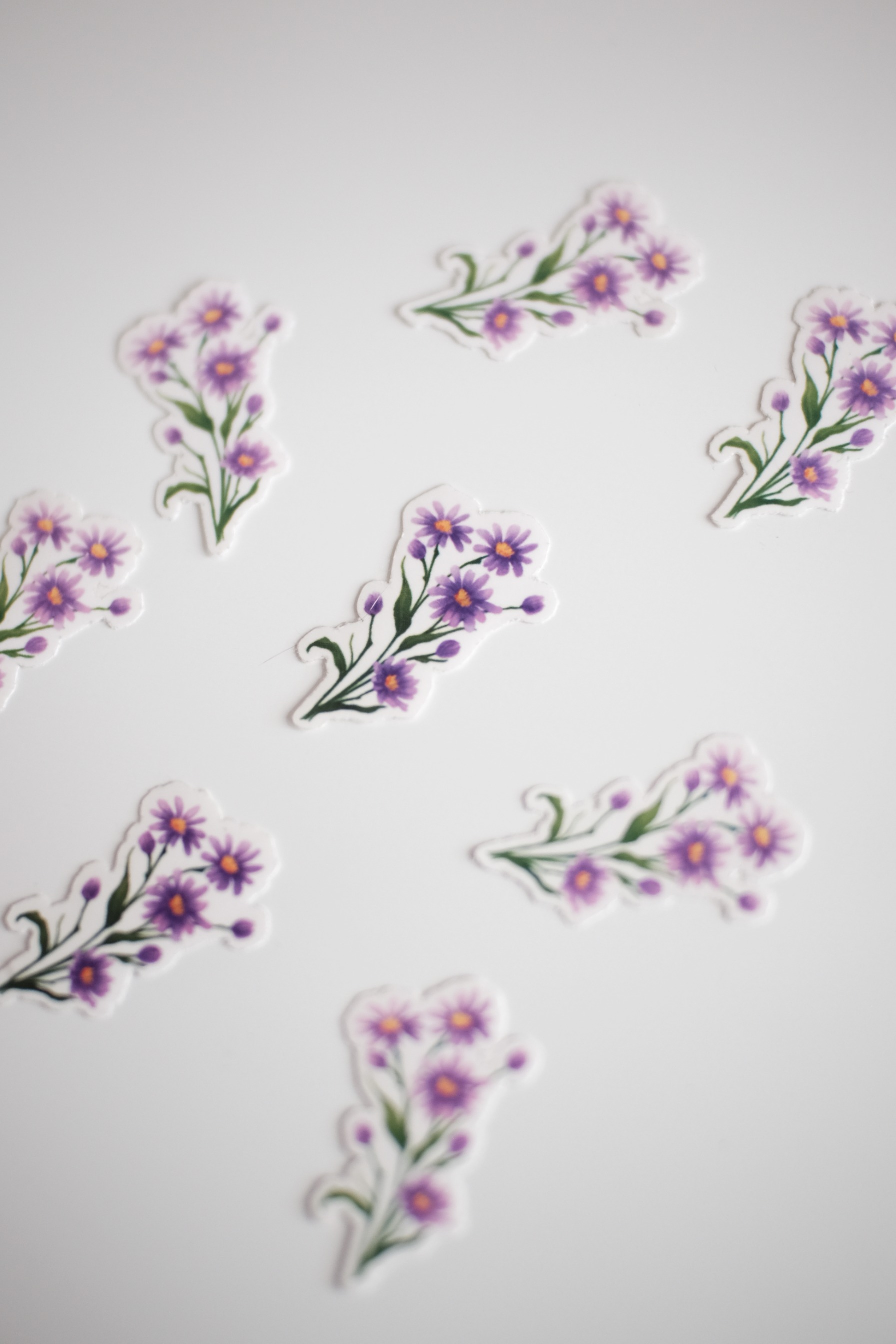StellarCoronae - Transparent Sticker