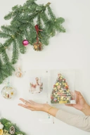 StellarCoronae - Christmas Book Tree