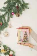 StellarCoronae - Christmas Diorama Box-Window