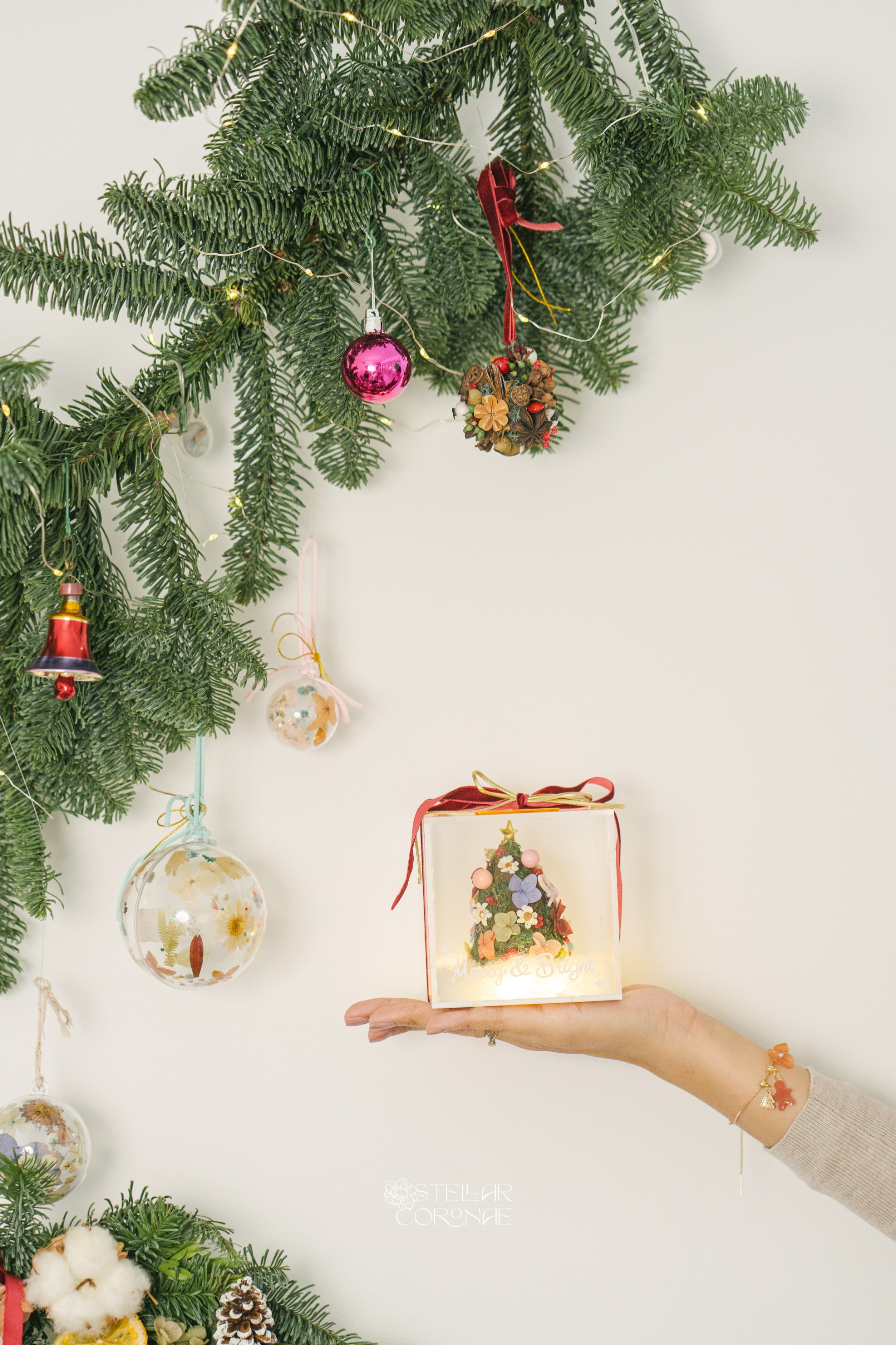 StellarCoronae - Christmas Magical Tree Box