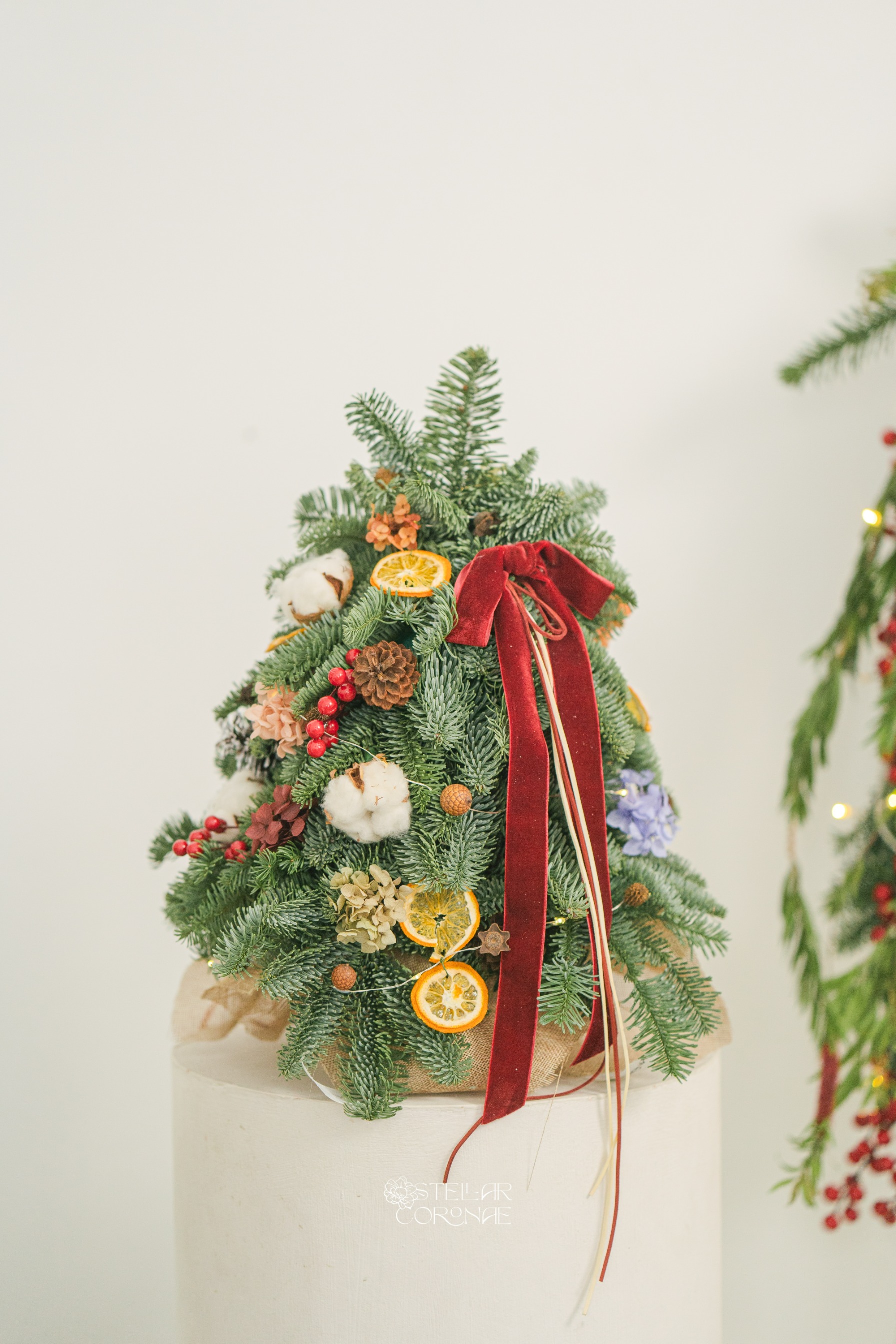 StellarCoronae - Christmas Tree Medium