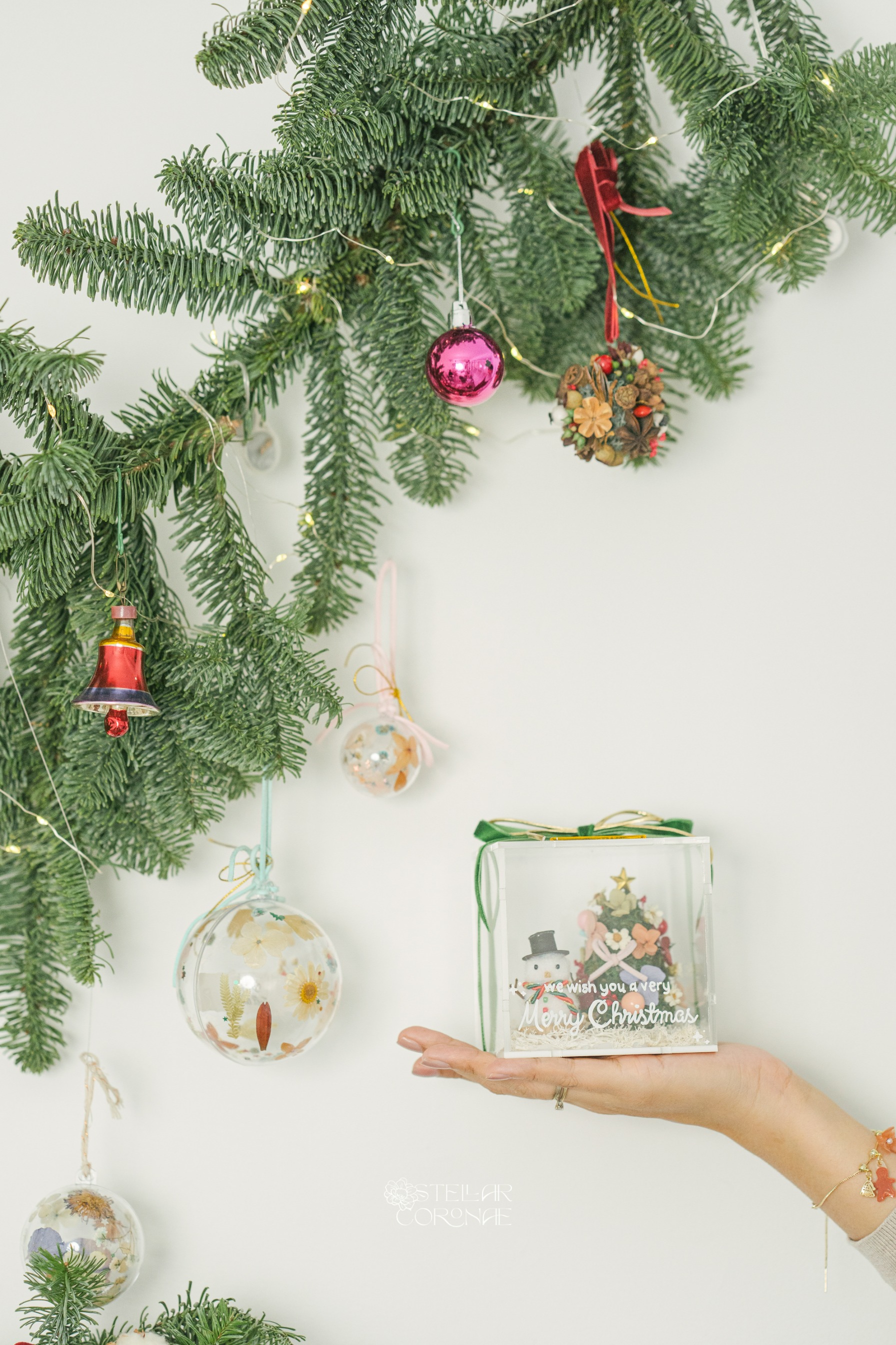 StellarCoronae - Christmas Tree & Snowman Box
