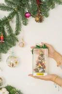 StellarCoronae - Christmas Tree in A Block