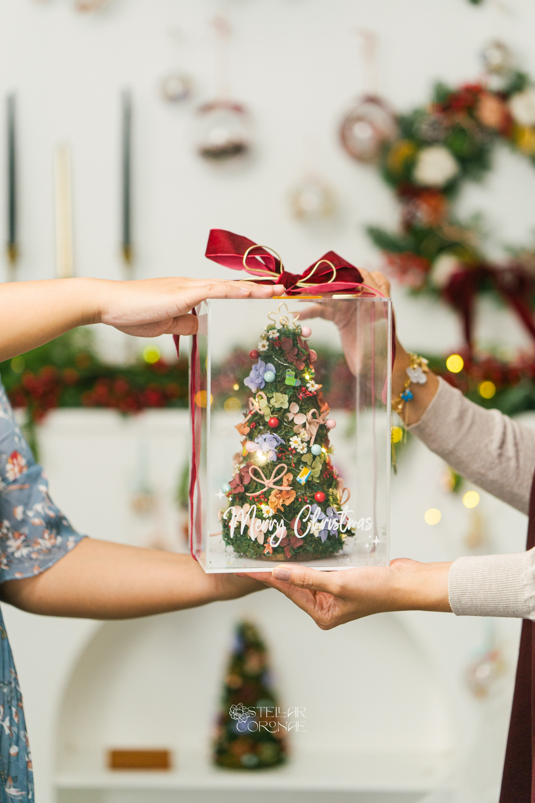 Christmas Box Tree Small 25x17x17cm | Kotak Akrilik Pohon Natal Bunga Kering | Dekorasi Hiasan Meja Tema Natal, Hadiah Custom, Kado Spesial