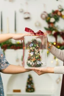 Christmas Box Tree Small 25x17x17cm | Kotak Akrilik Pohon Natal Bunga Kering | Dekorasi Hiasan Meja Tema Natal, Hadiah Custom, Kado Spesial