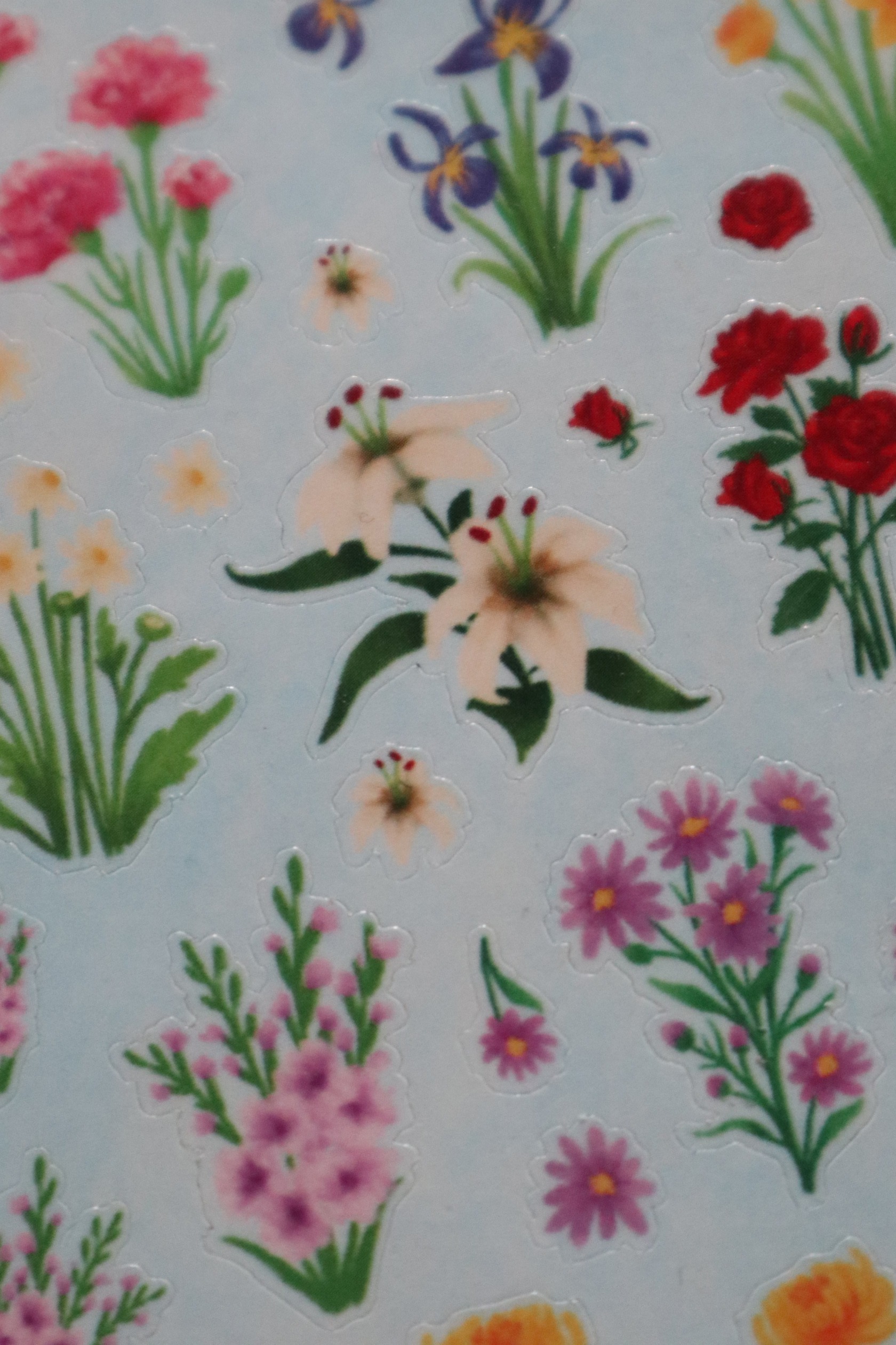 StellarCoronae - Birthflower Deco Sticker