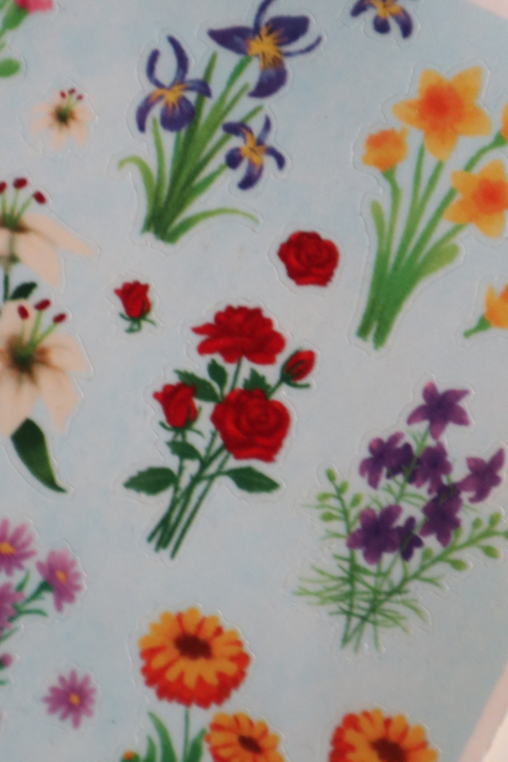 StellarCoronae - Birthflower Deco Sticker