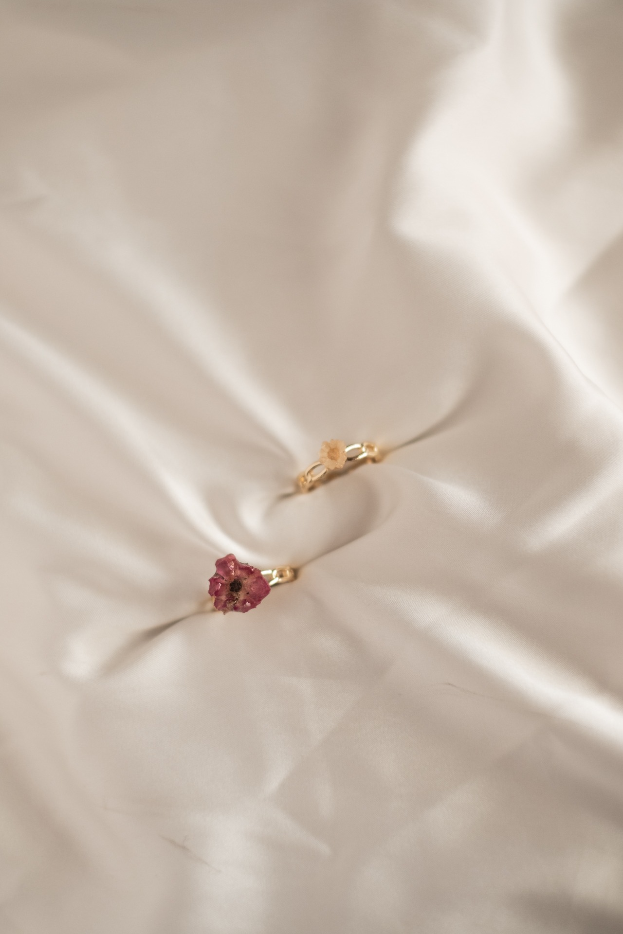 StellarCoronae - Dried Flower Ring