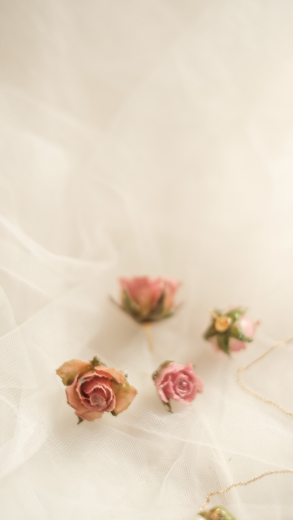 StellarCoronae - Rose Studs