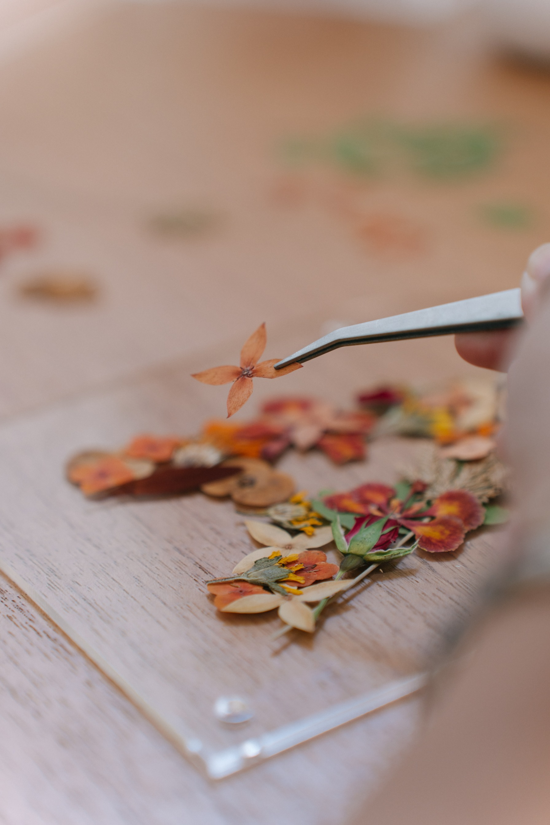 StellarCoronae - DIY KIT Pressed Flowers Letter Creation | DIY KIT Bunga Kering pada Akrilik Frame | Hadiah | Kado Valentine 