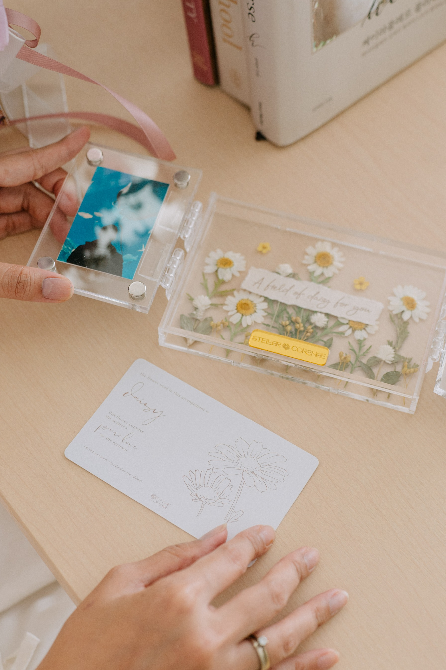 StellarCoronae - Butterfly Frame A6 | Bingkai Foto Bunga | Hadiah | Kado Valentine