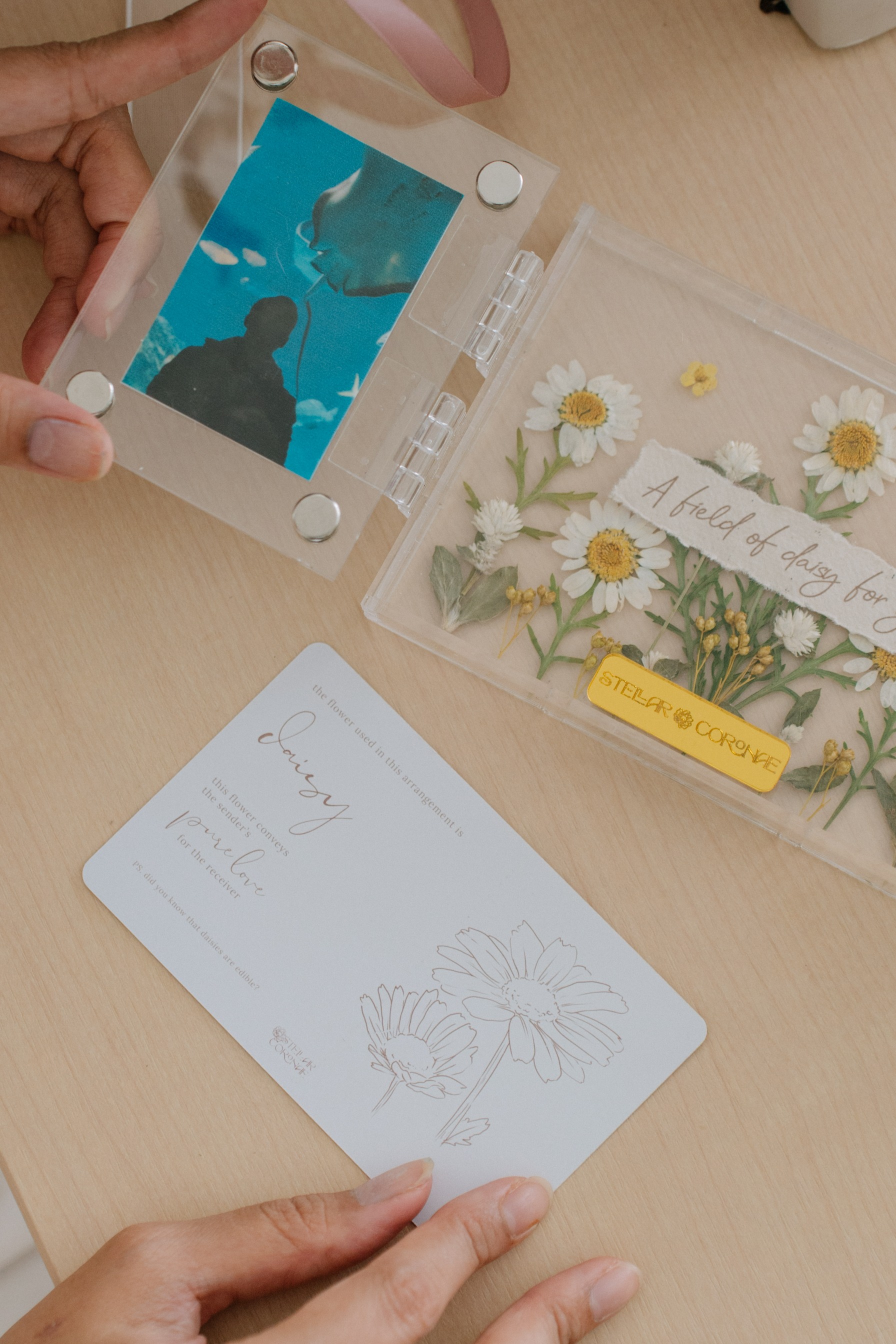 StellarCoronae - Butterfly Frame A6 | Bingkai Foto Bunga | Hadiah | Kado Valentine