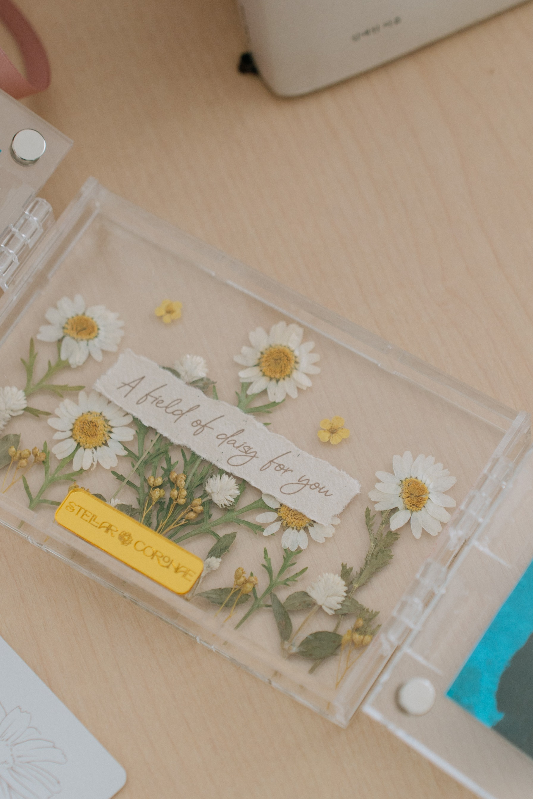 StellarCoronae - Butterfly Frame A6 | Bingkai Foto Bunga | Hadiah | Kado Valentine