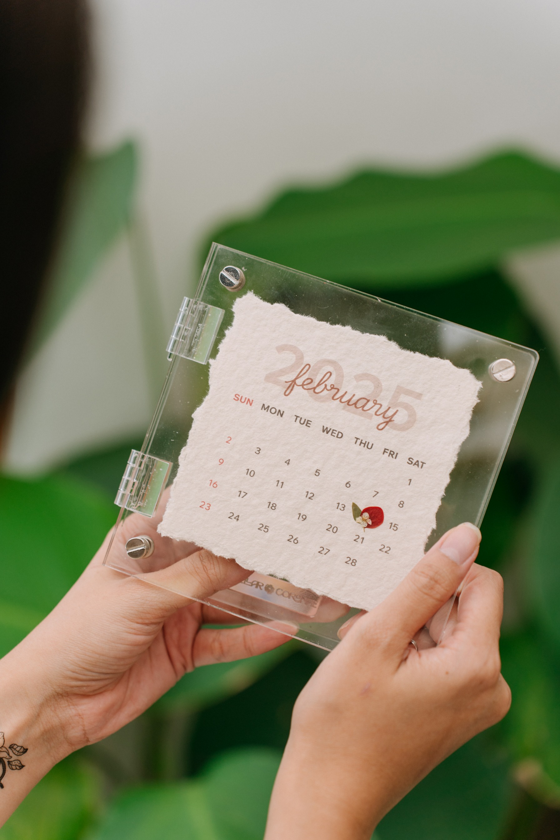 StellarCoronae - Pristine Book 15x15cm Calendar of Love | Bingkai Foto | Hadiah | Kado Valentine