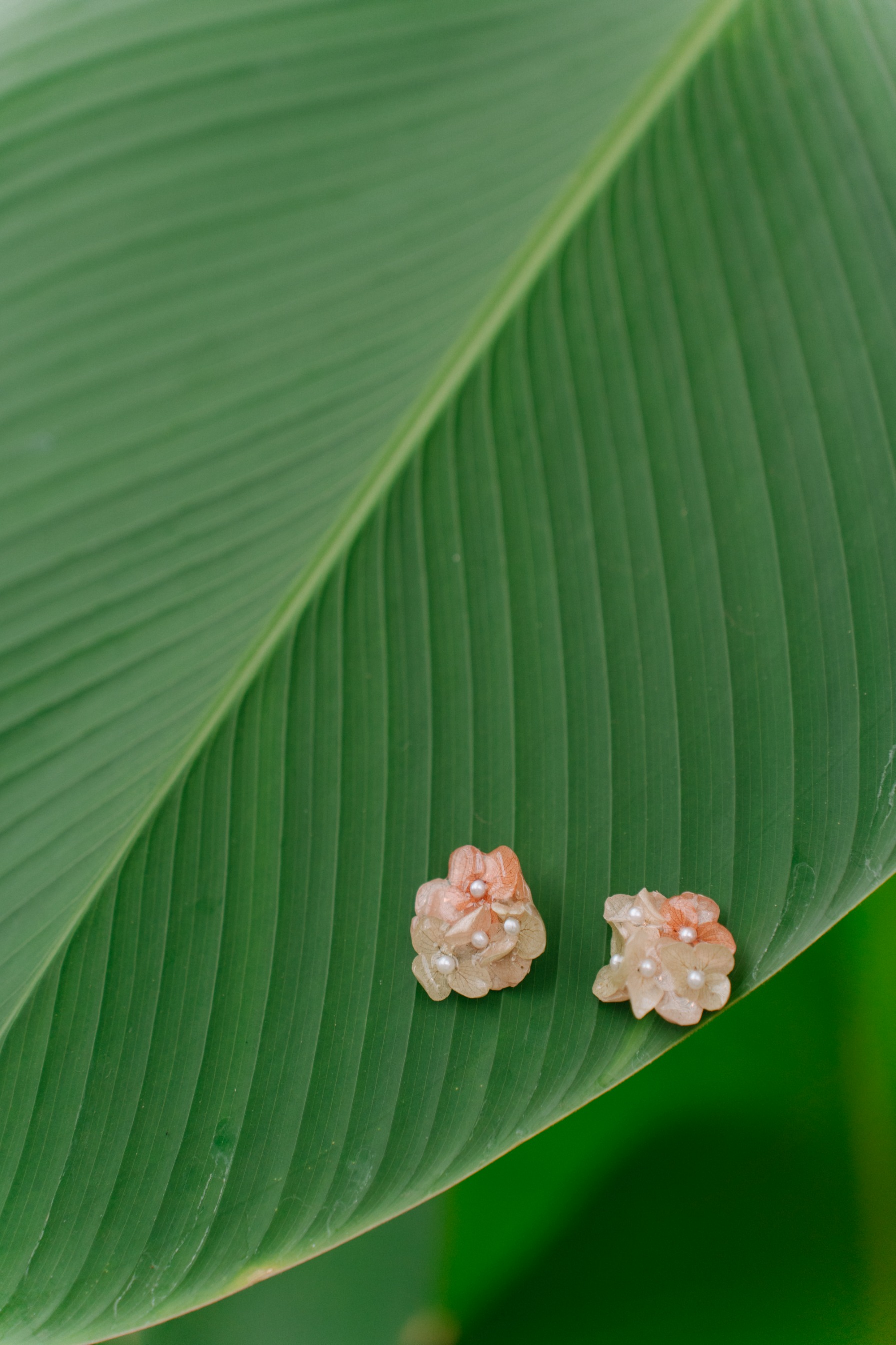 StellarCoronae - Chromaflora Studs | Anting Tusuk Handmade dari Bunga Asli Hydrangea