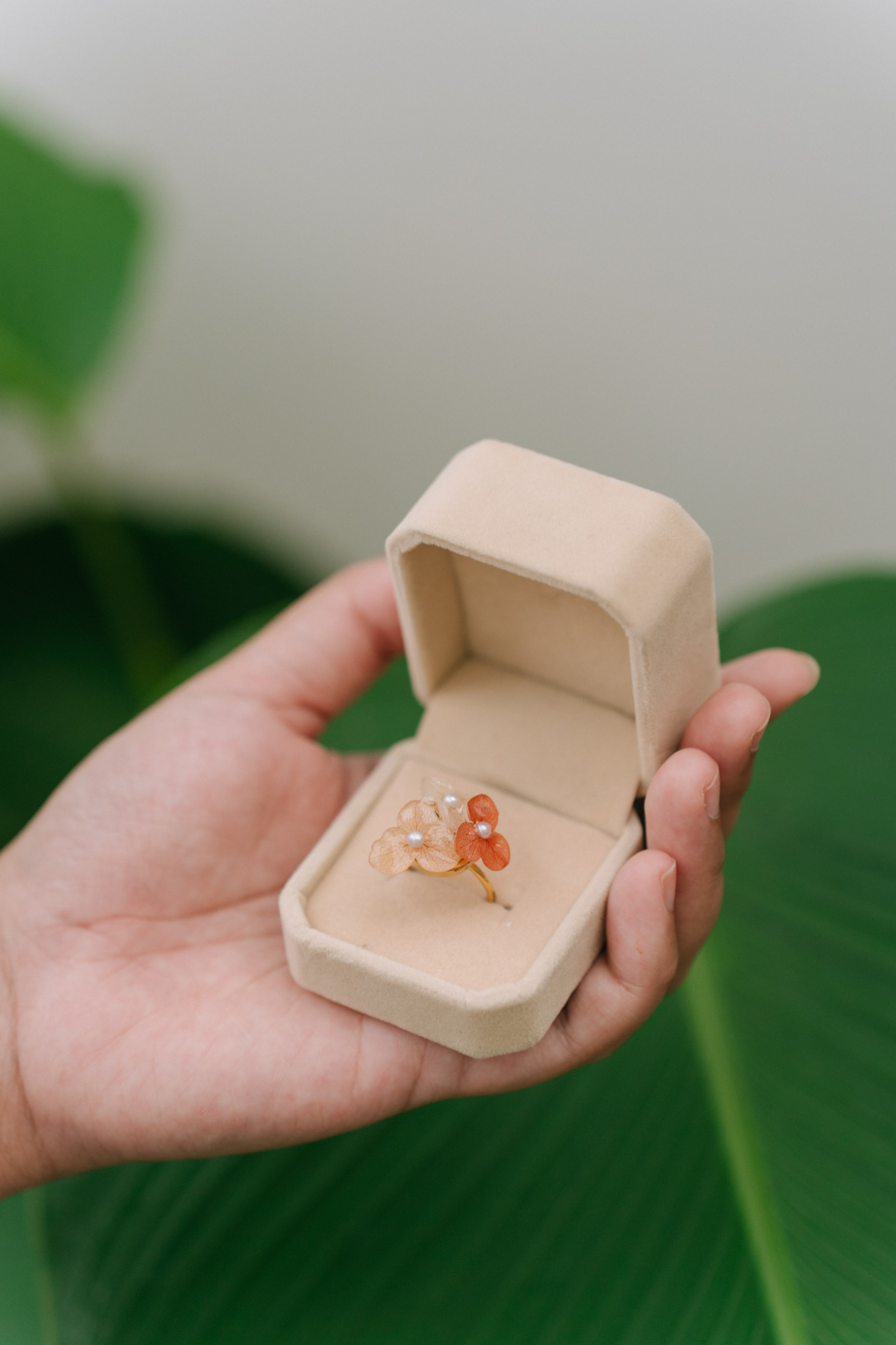 StellarCoronae - Chromaflora Ring | Cincin Handmade dari Bunga Asli Hydrangea 