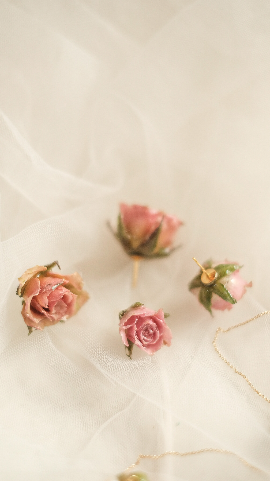 StellarCoronae - Rose Studs