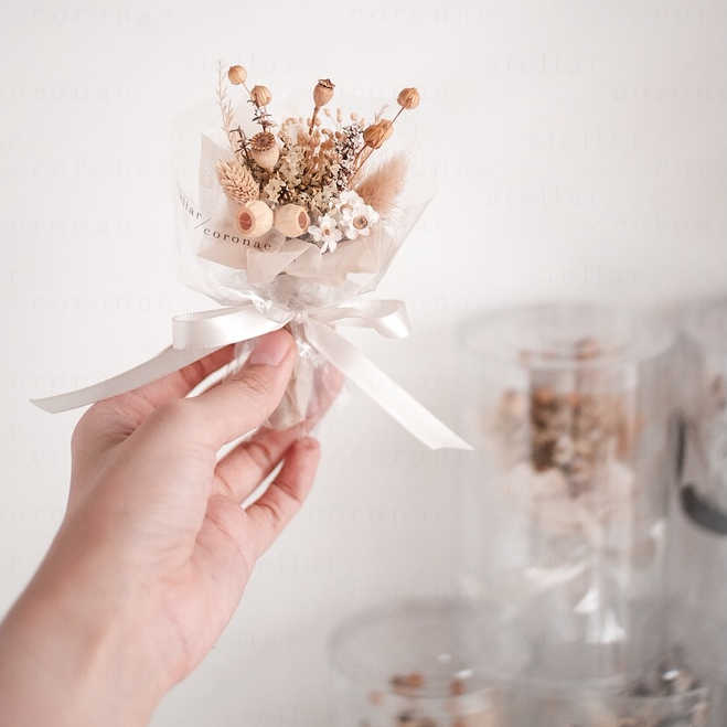 StellarCoronae - Mini Bouquet Natural Series | Bouquet Bunga | Bunga Kering | Hadiah | Kado