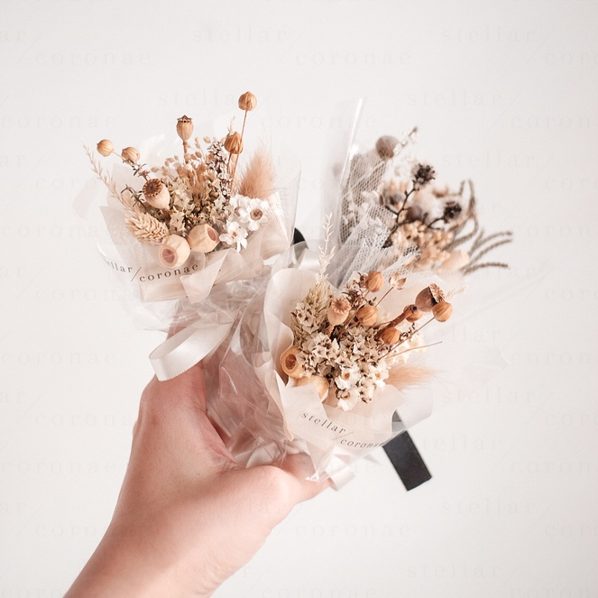 StellarCoronae - Mini Bouquet Natural Series | Bouquet Bunga | Bunga Kering | Hadiah | Kado