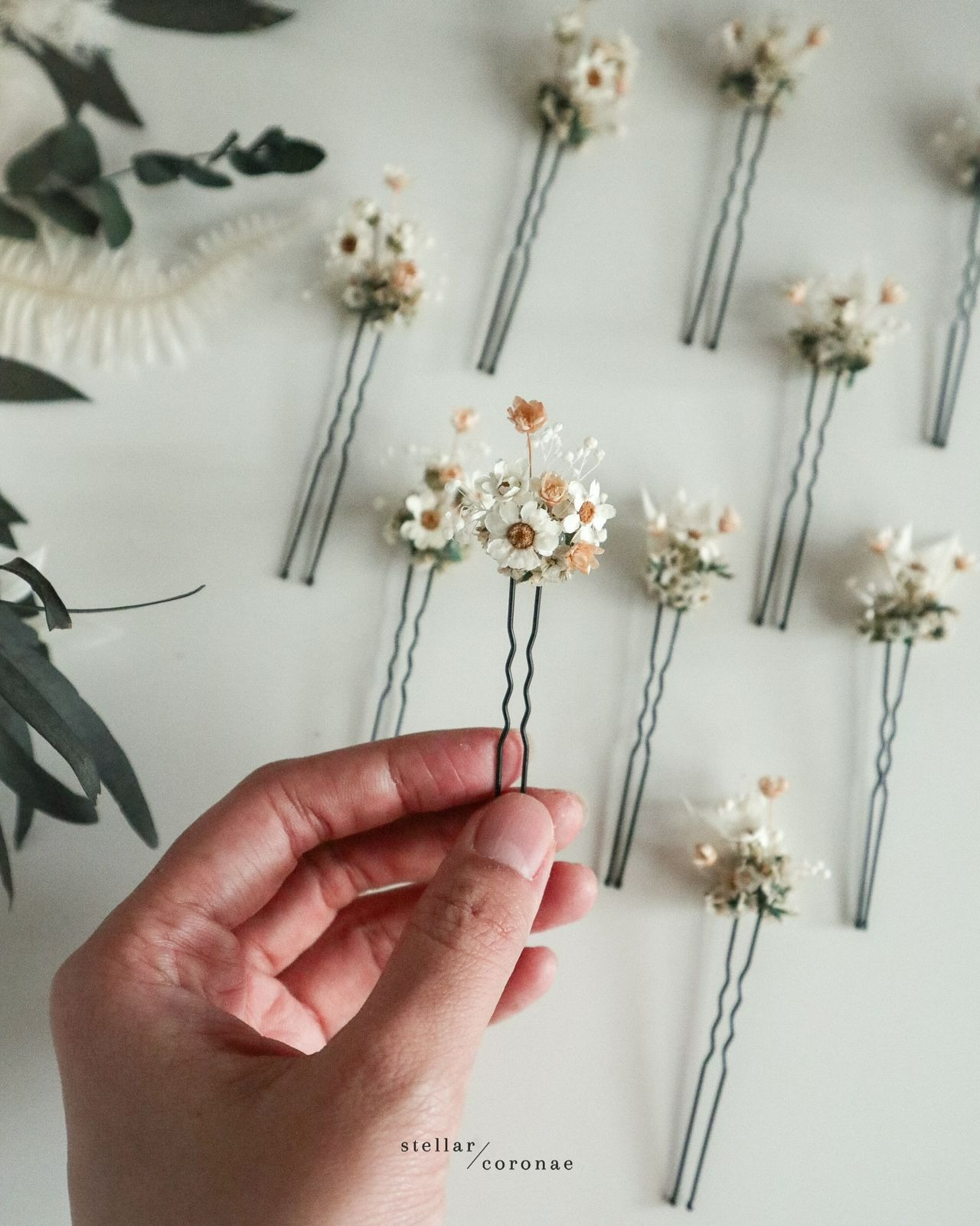 StellarCoronae - Hairpin (S) | Set of 3