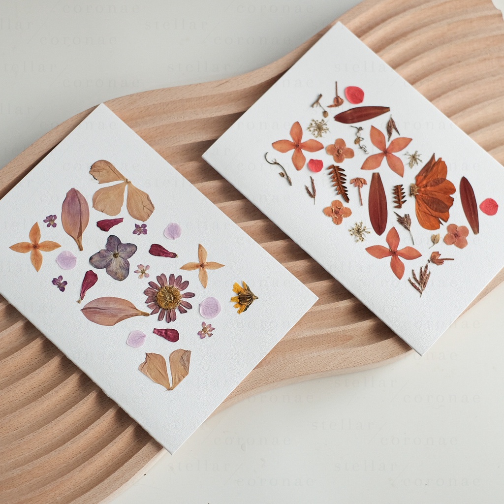 StellarCoronae - Pressed Flower Card | Greeting Card | Kartu Ucapan