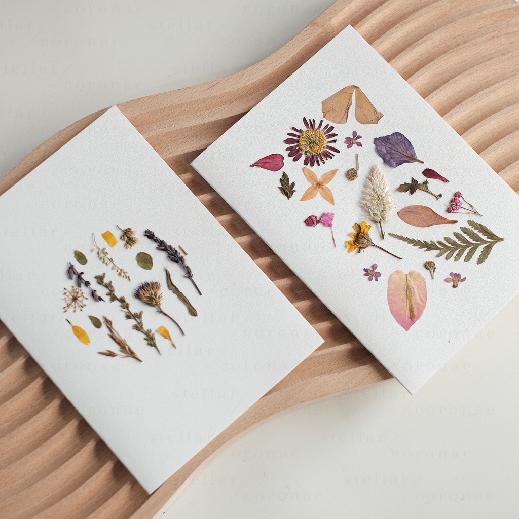 StellarCoronae - Pressed Flower Card | Greeting Card | Kartu Ucapan