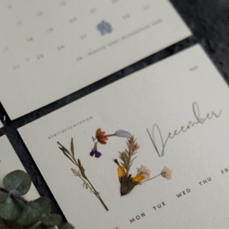 StellarCoronae - Pressed Flower Mini Calendar 2023 | Kalender 2023 | Kalender Meja | Kalender Bunga | Hampers Akhir Tahu