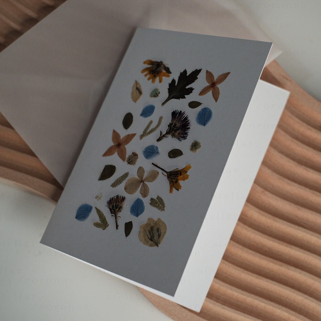 StellarCoronae - Pressed Flower Card | Greeting Card | Kartu Ucapan