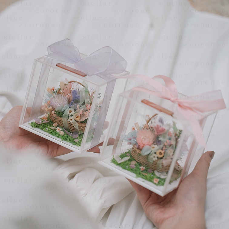 StellarCoronae - Mini Basket in a Box | Bunga Asli | Bunga Kering | Kado Hari Ibu | Mother's Day Gift | Hadiah | Gift