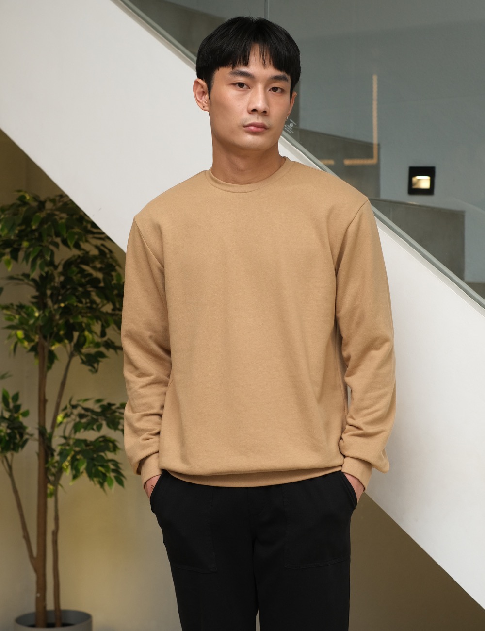 Arkline Base Solid Sweatshirt Beige