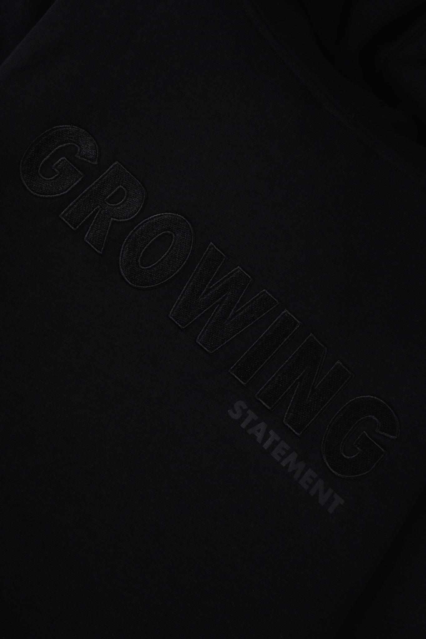 Arkline Growing Pullover Hoodie Obsidian Black