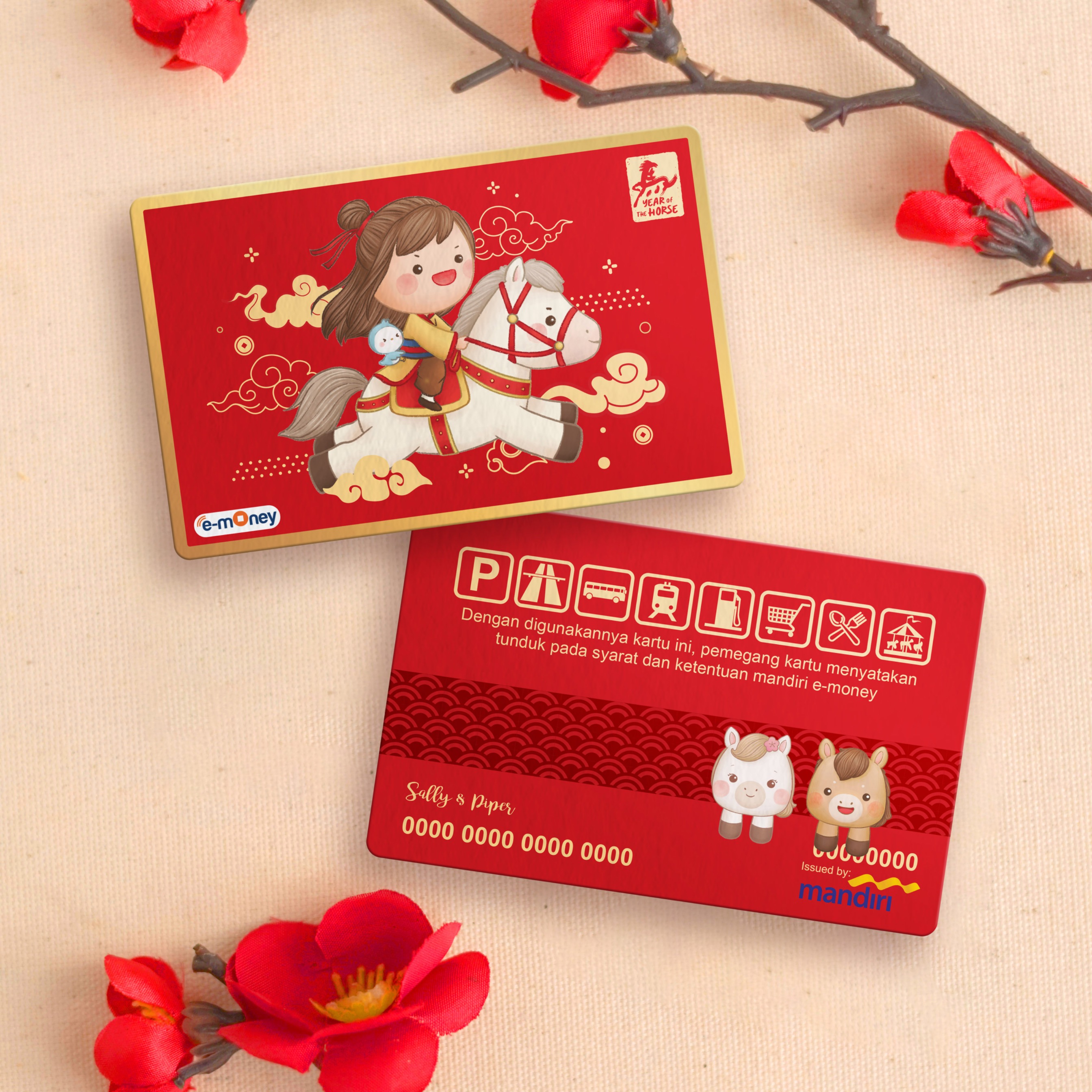 CNY Emoney/Flazz