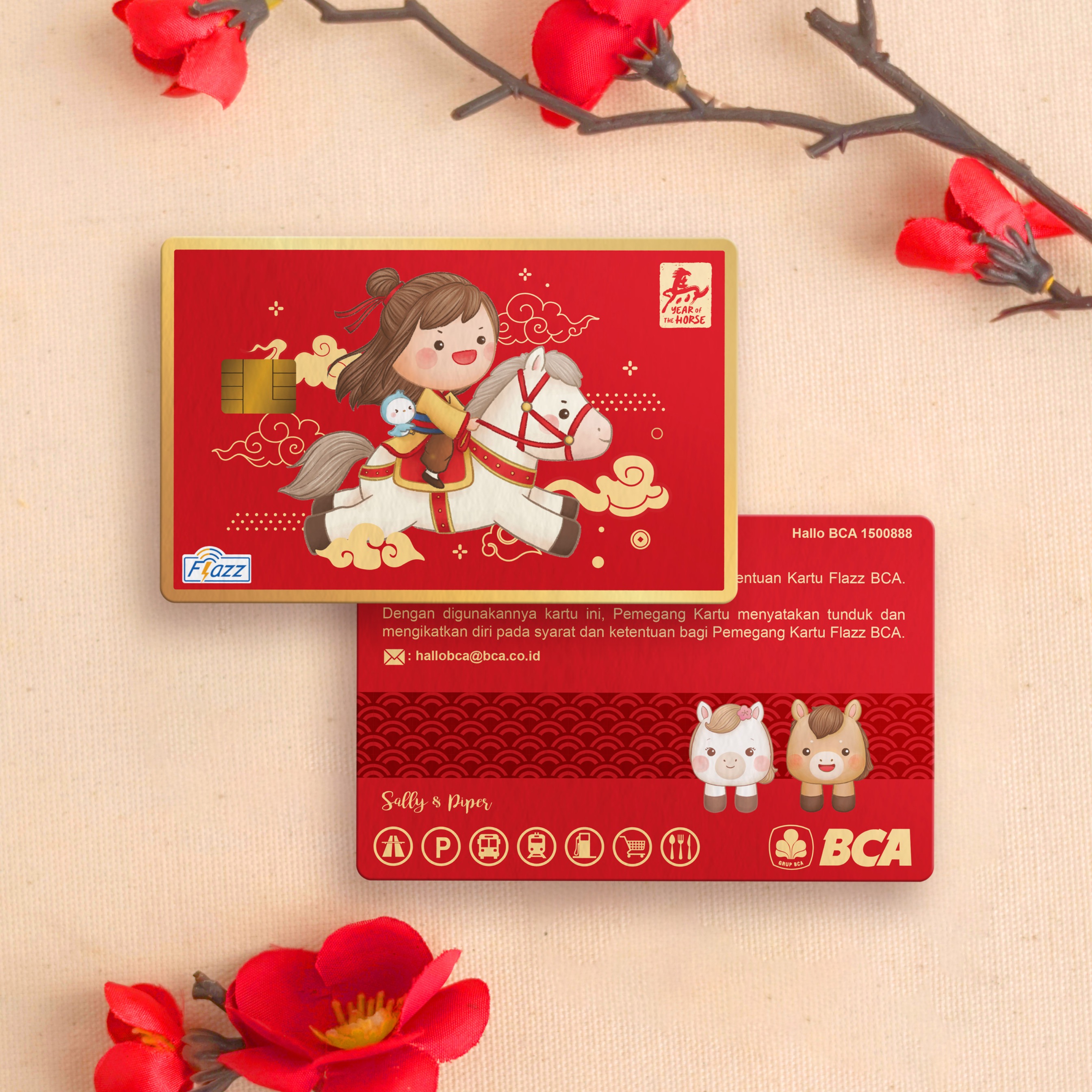 CNY Emoney/Flazz