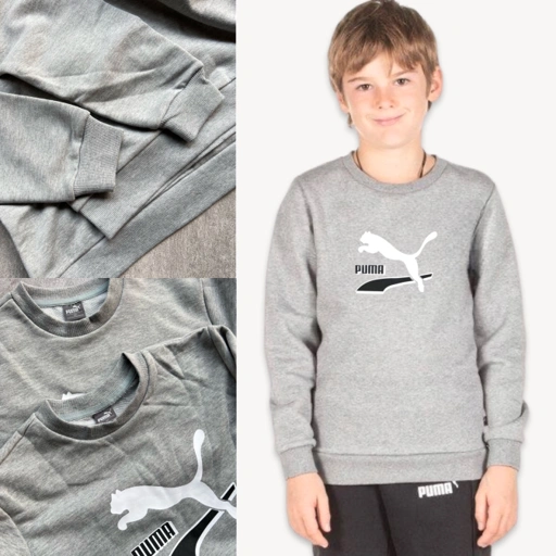 Image of Puma Boys Sweatshirt