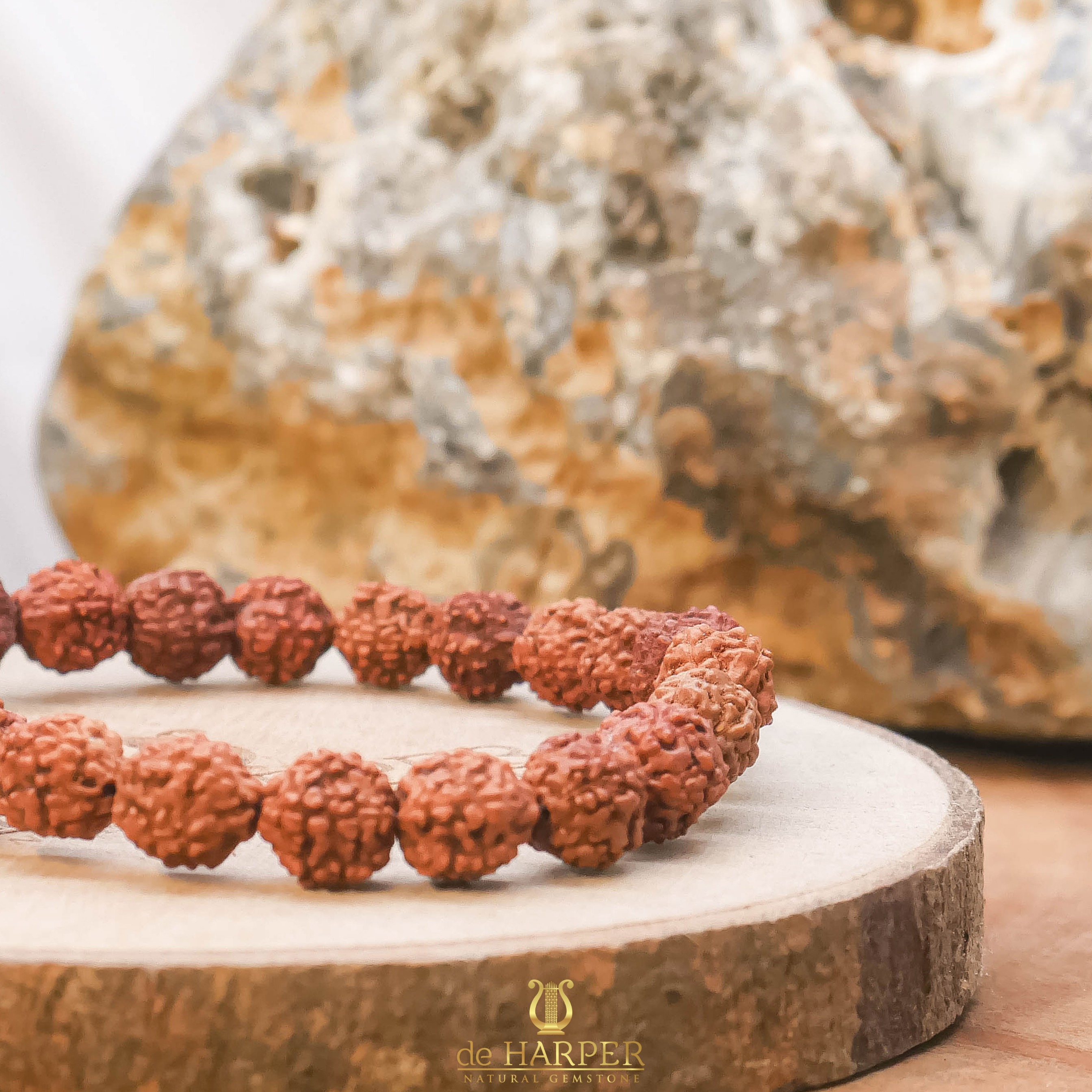 Simply Full : Rudraksha 5 Mukhi