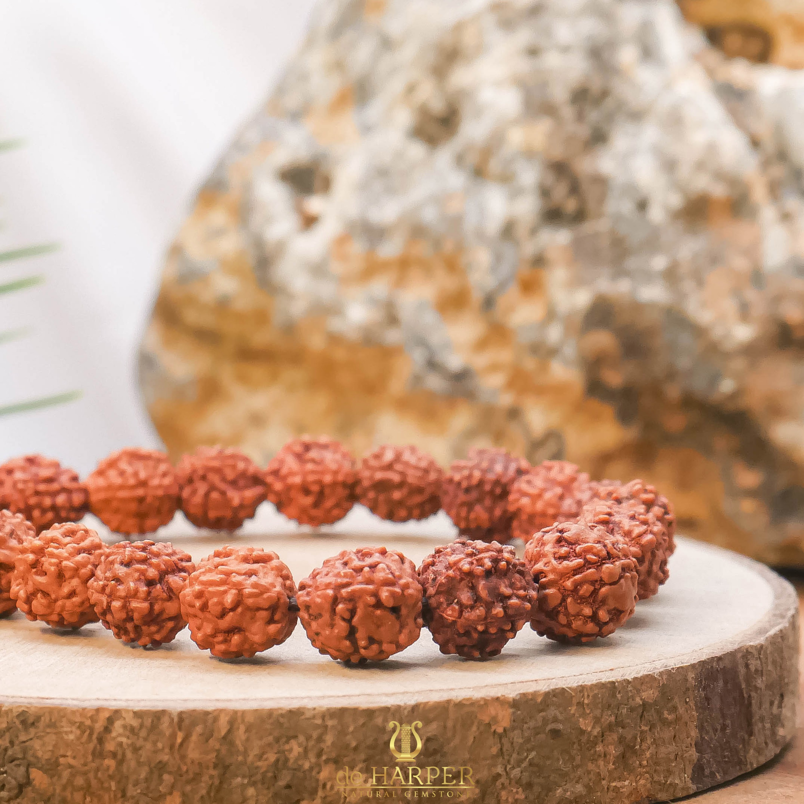 Simply Full : Rudraksha 5 Mukhi