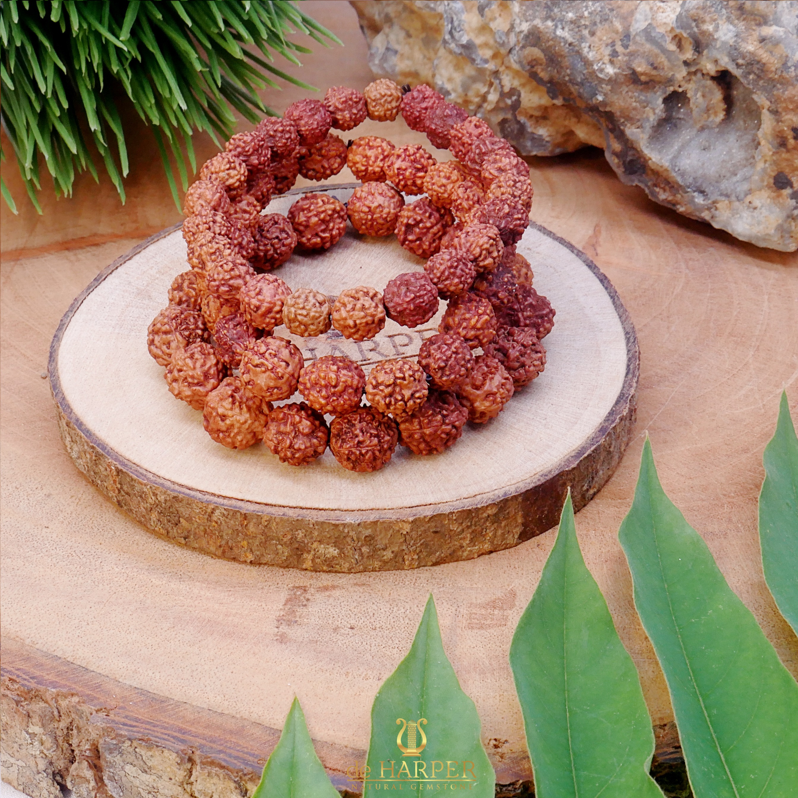 Simply Full : Rudraksha 5 Mukhi