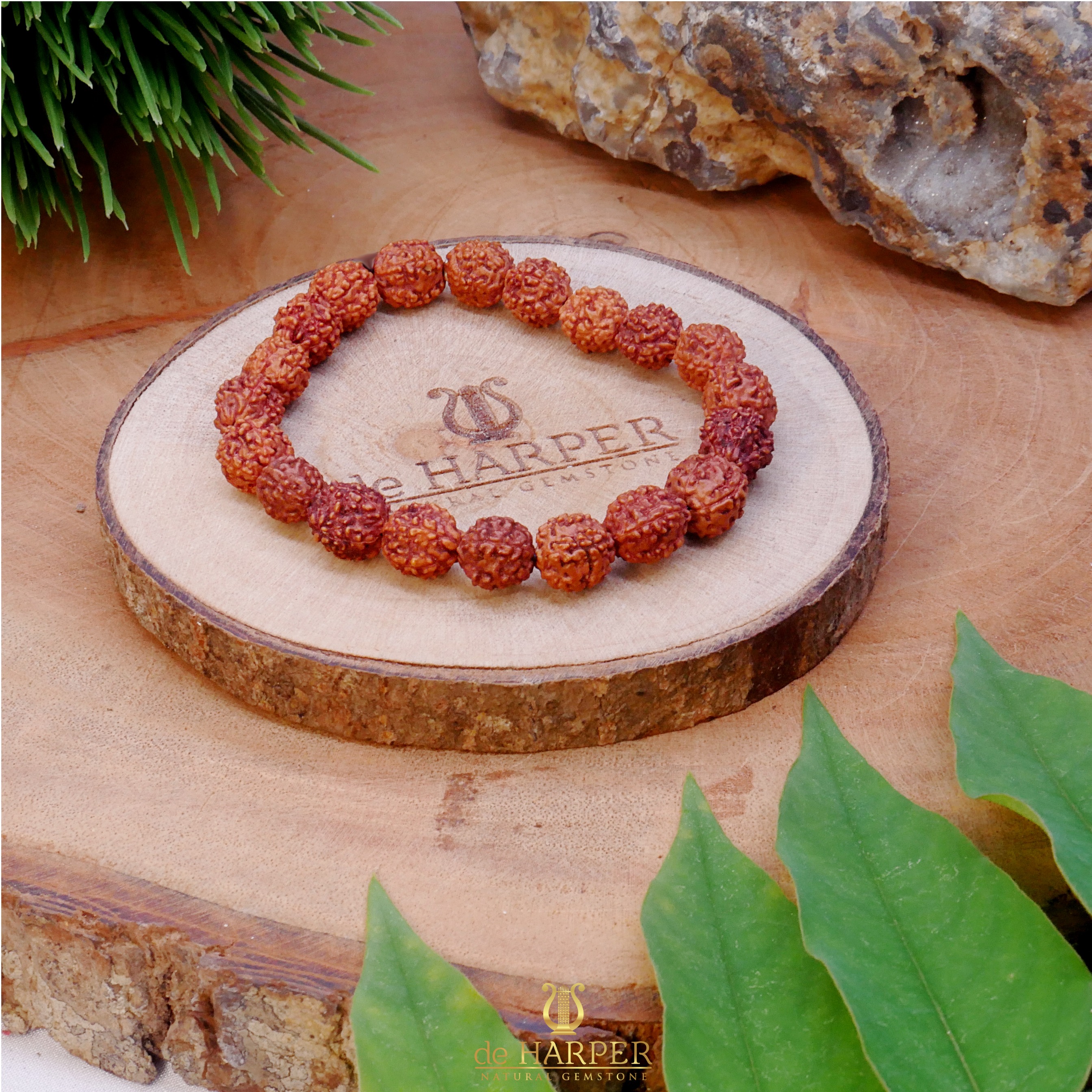 Simply Full : Rudraksha 5 Mukhi