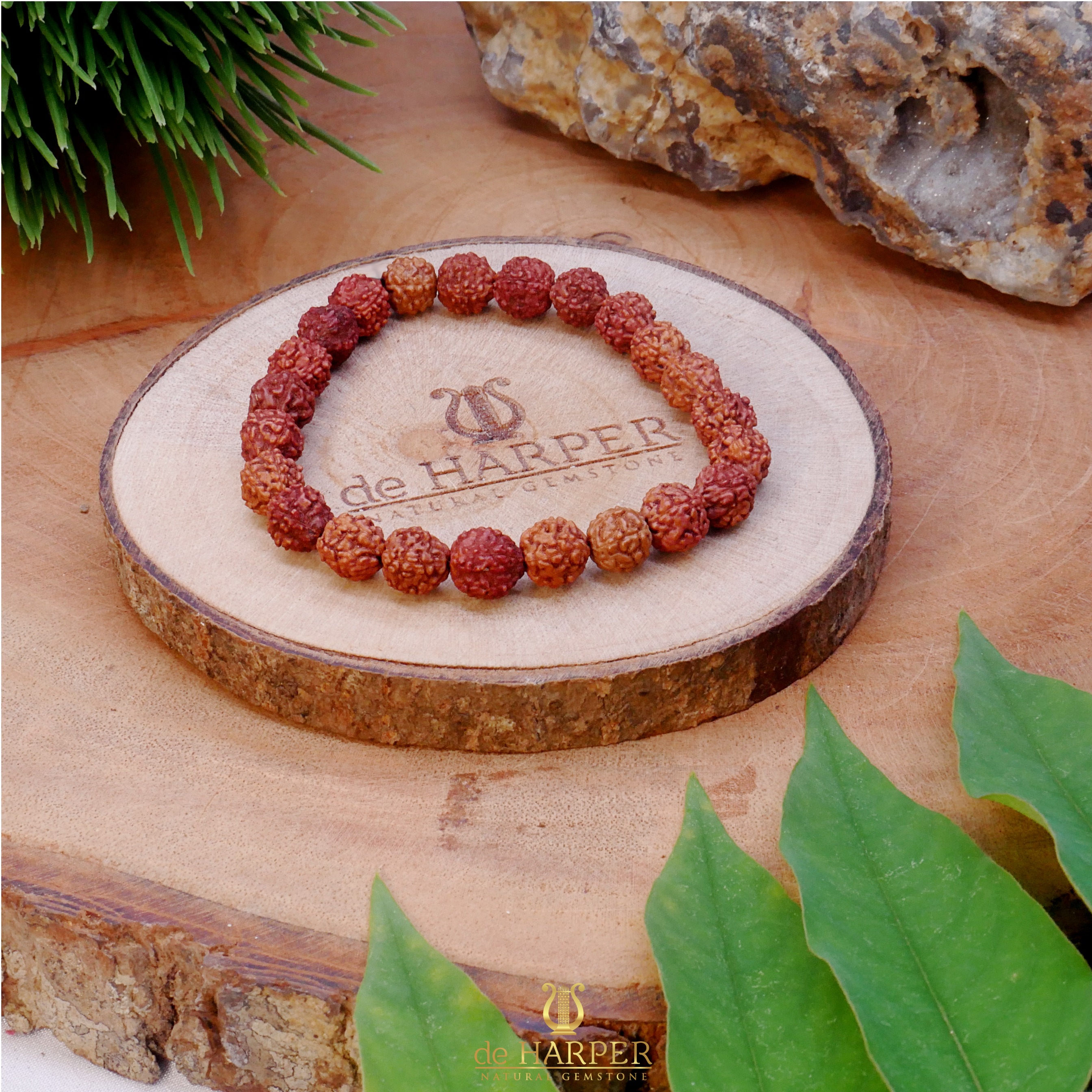 Simply Full : Rudraksha 5 Mukhi