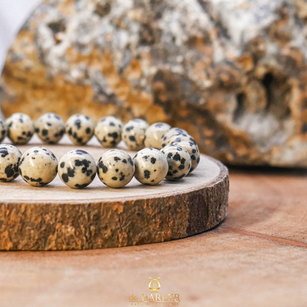 Simply Full : Dalmatian