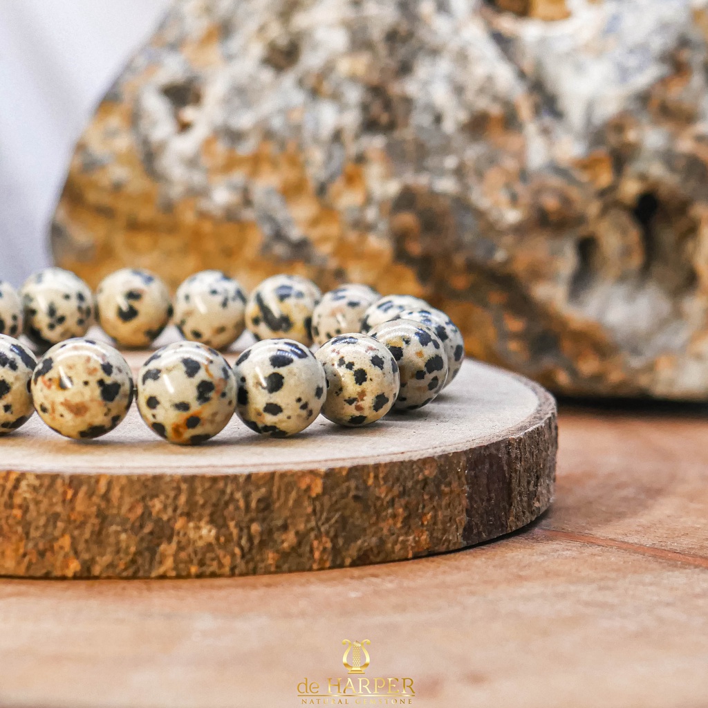 Simply Full : Dalmatian