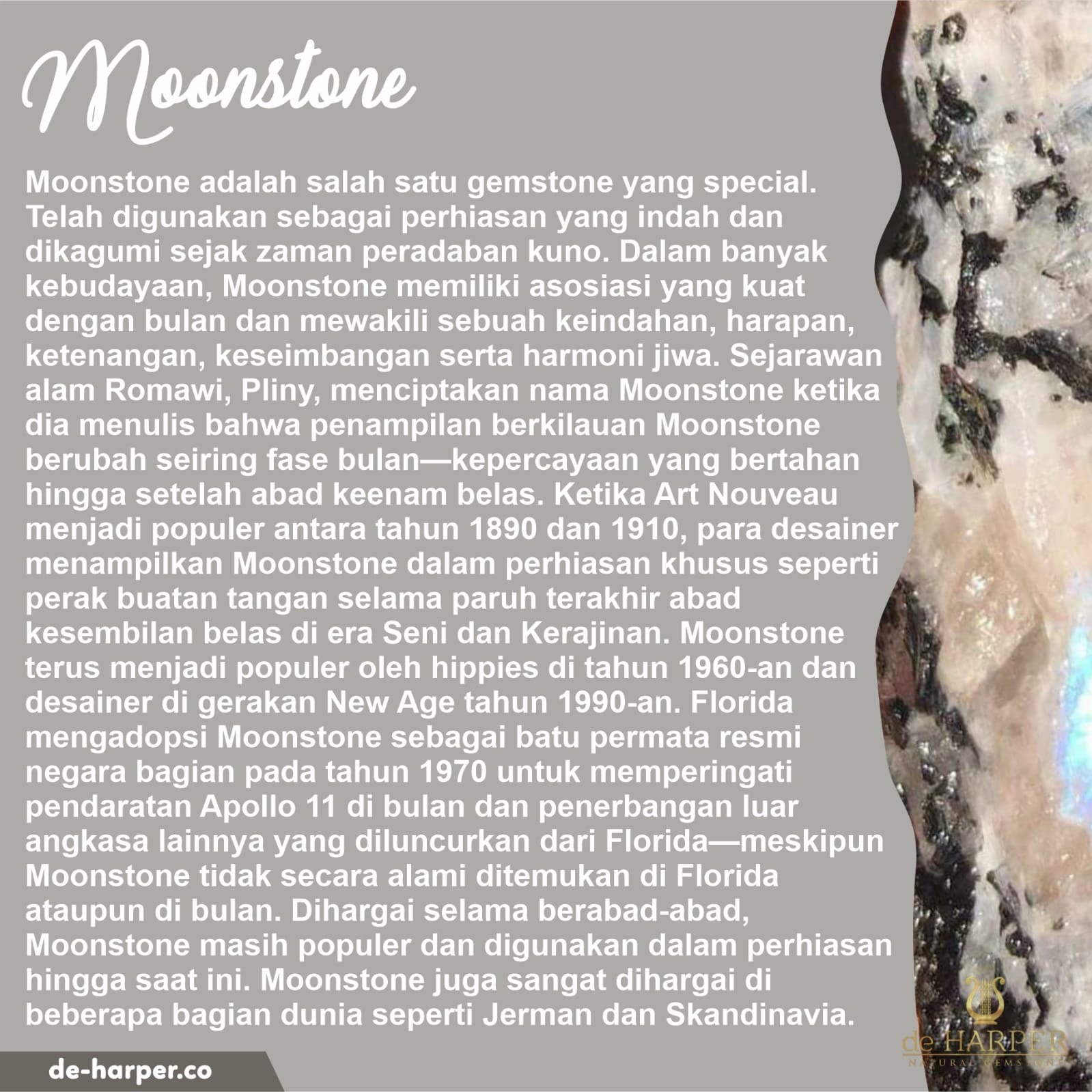 Lunar Memoria II