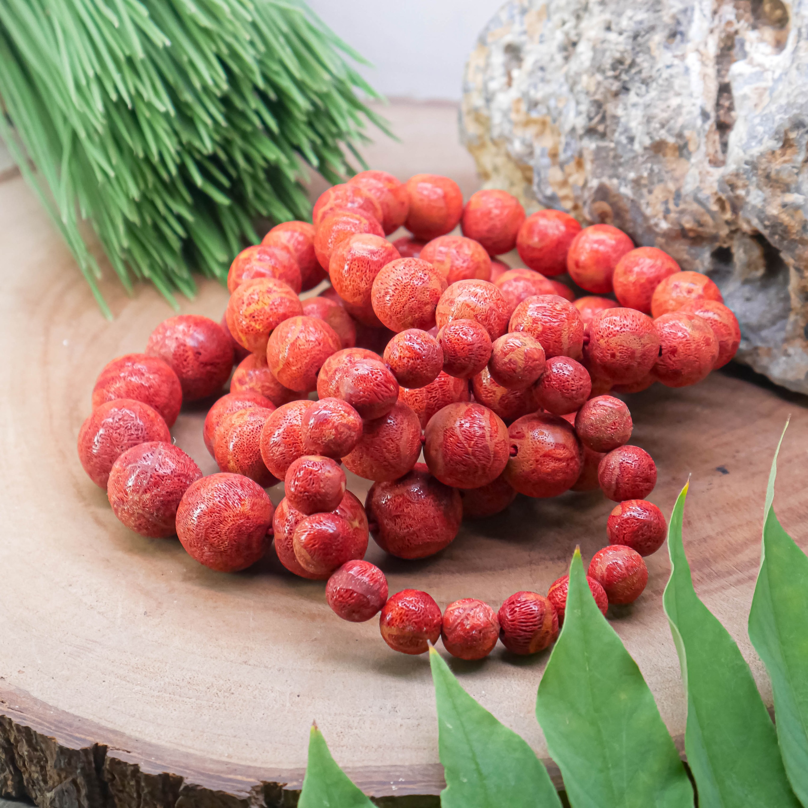 Simply Full : Red Coral & White Coral