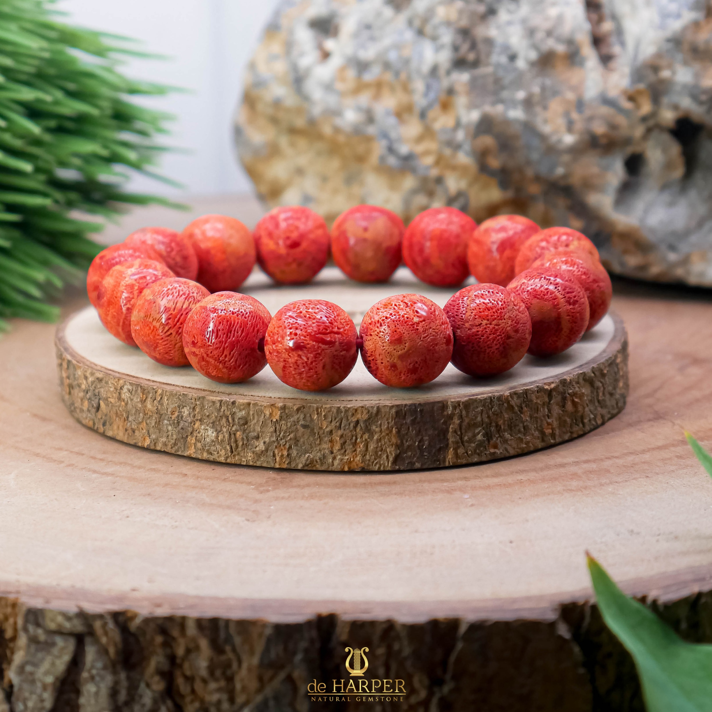 Simply Full : Red Coral & White Coral