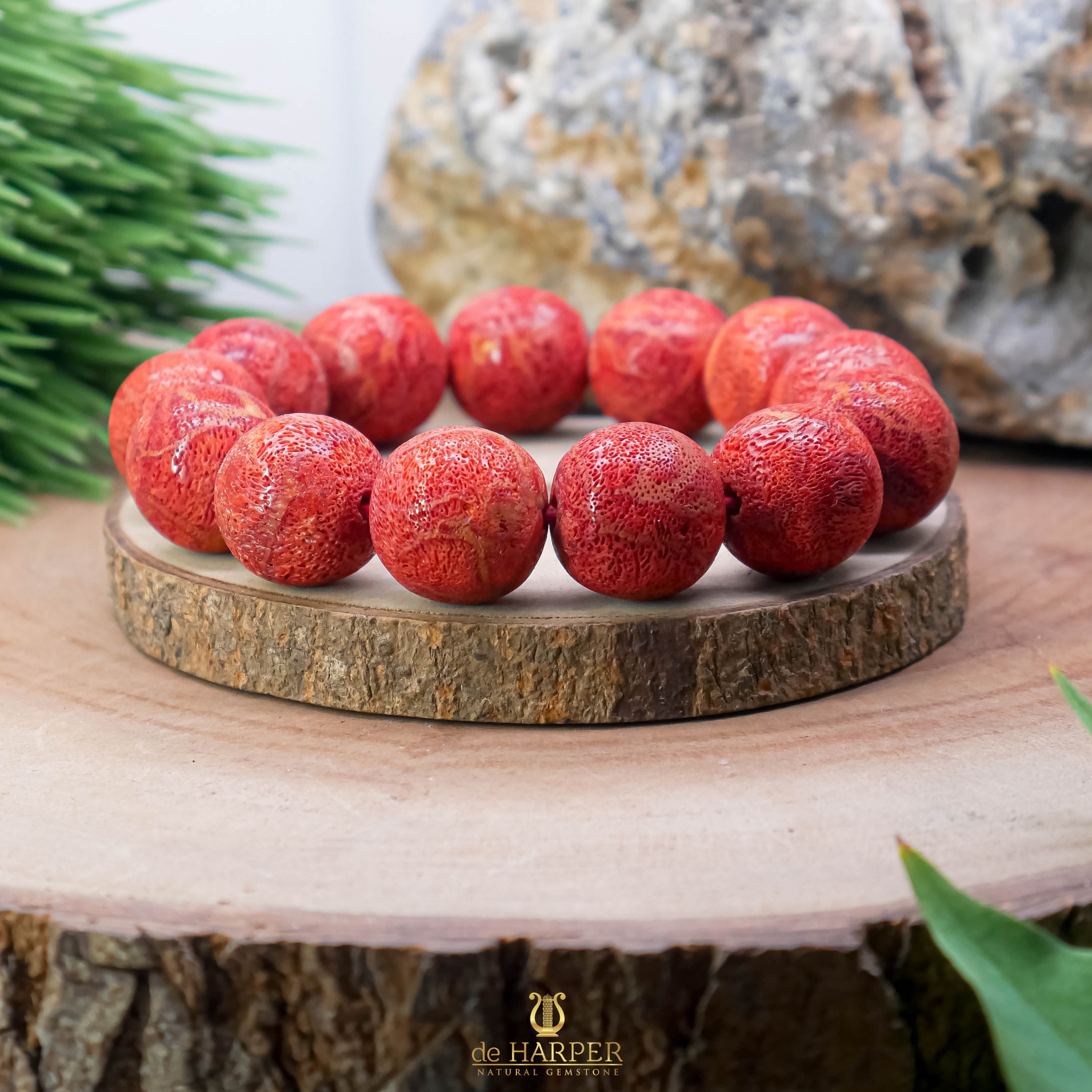 Simply Full : Red Coral & White Coral