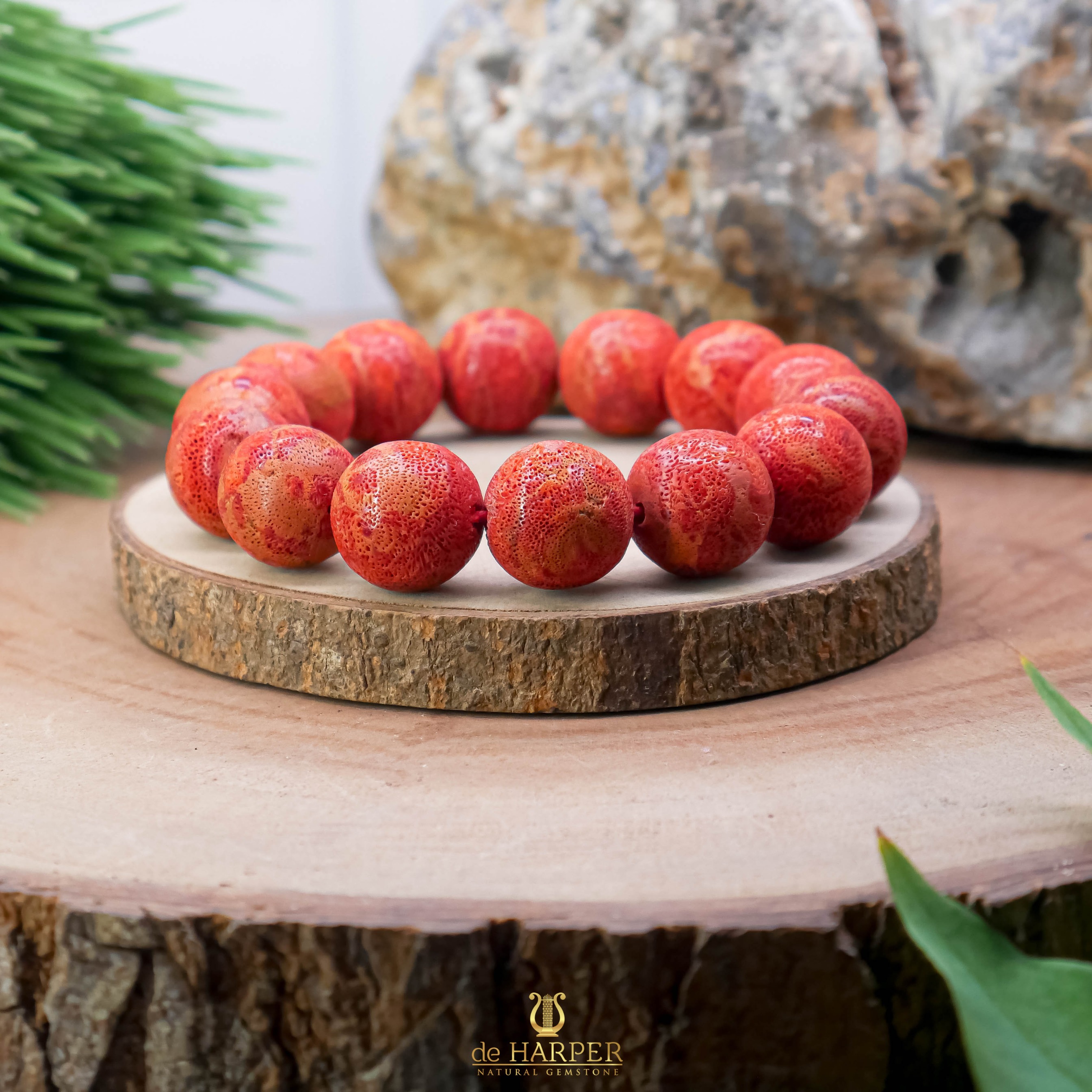 Simply Full : Red Coral & White Coral
