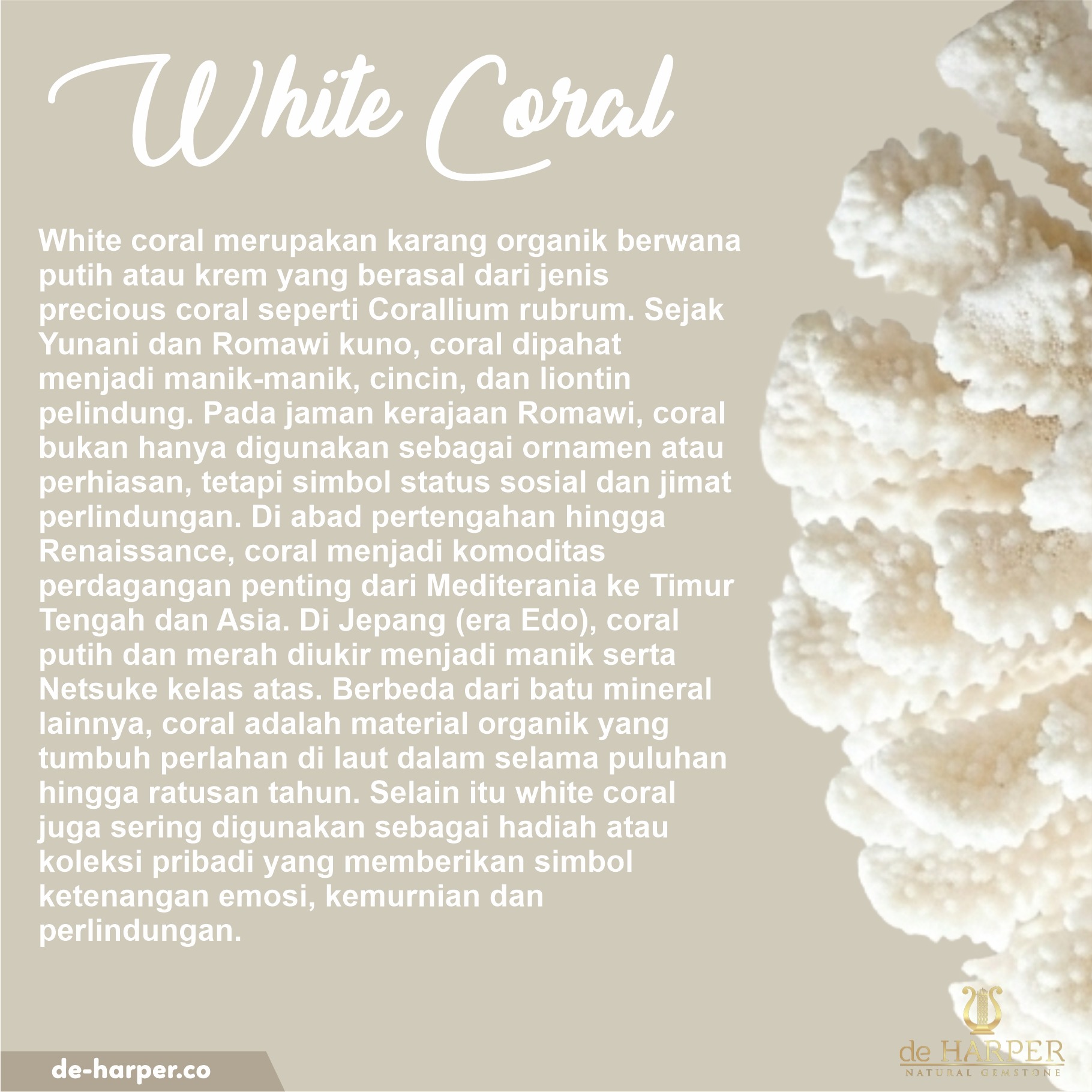 Simply Full : White Coral