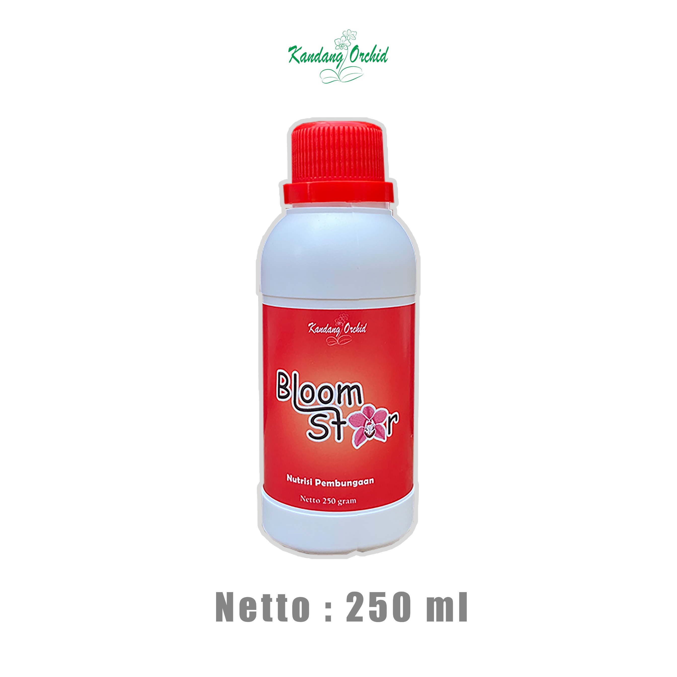 Bloom Star